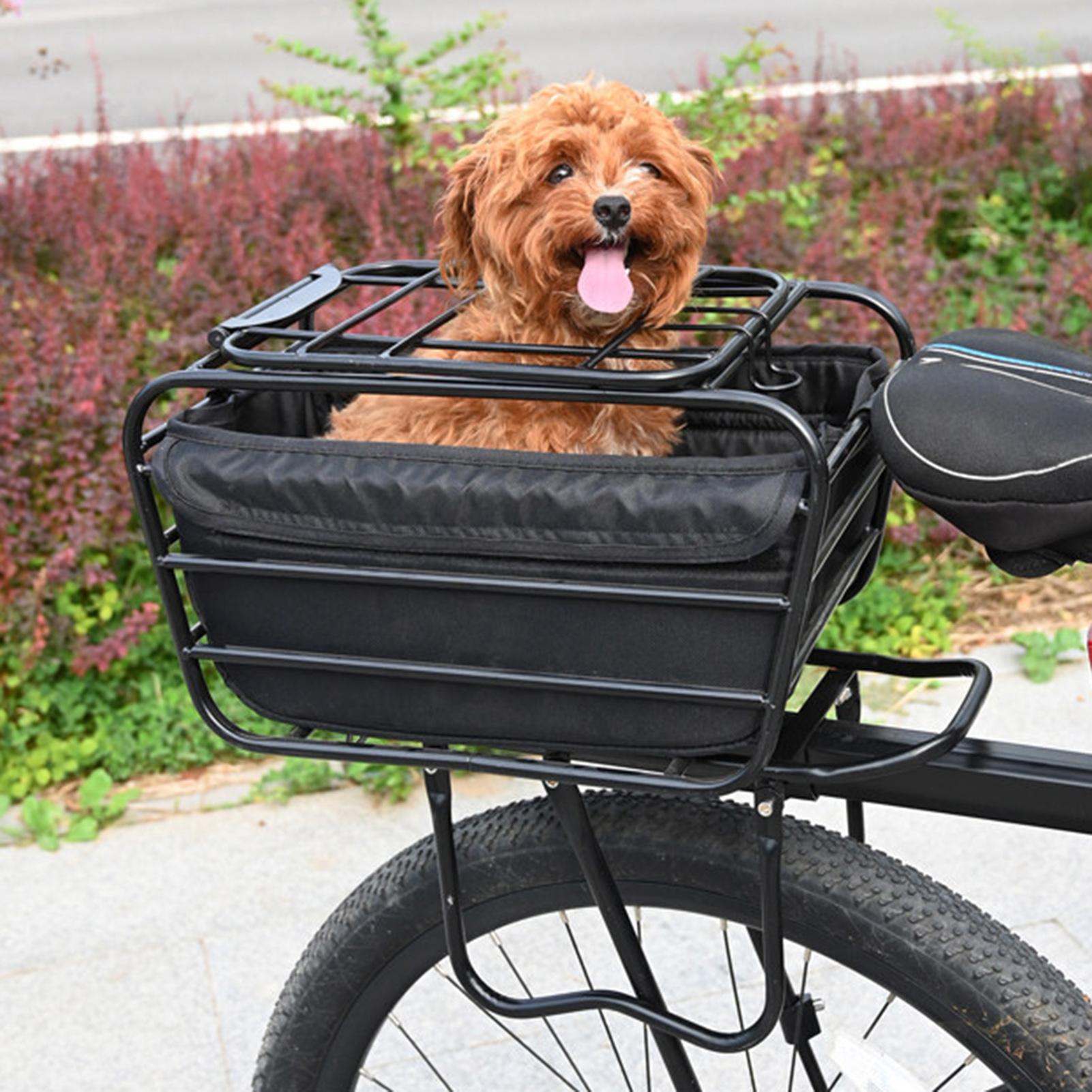 Cesta para bicicleta de gran c - Commuting With Road Bike reseña y precio